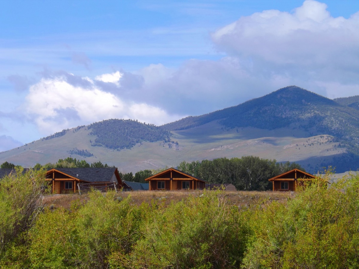 Big Hole River Retreat Moose Haven Luxury Cabin