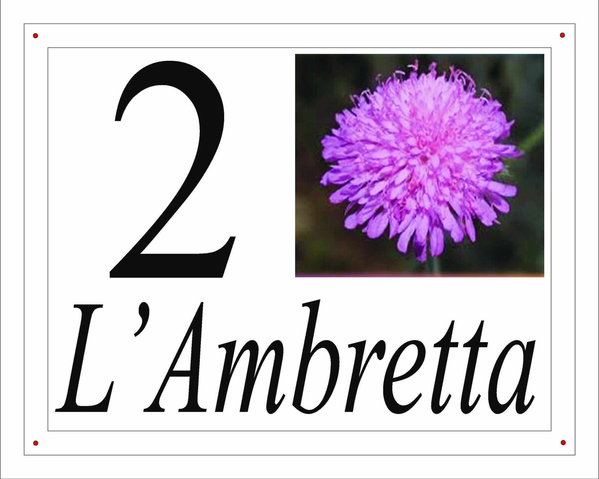 花粉之花- L'Ambretta