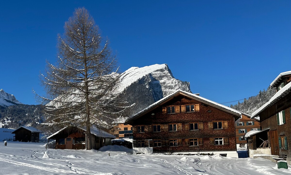 Apt RdC ，前往澳大利亚的理想滑雪道， Bregenzerwald