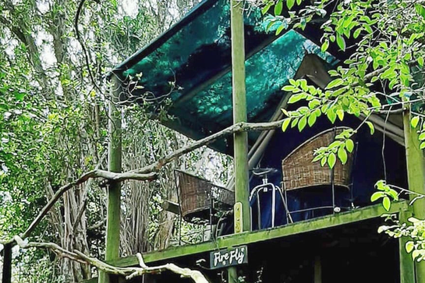 Treetops Forest Tent