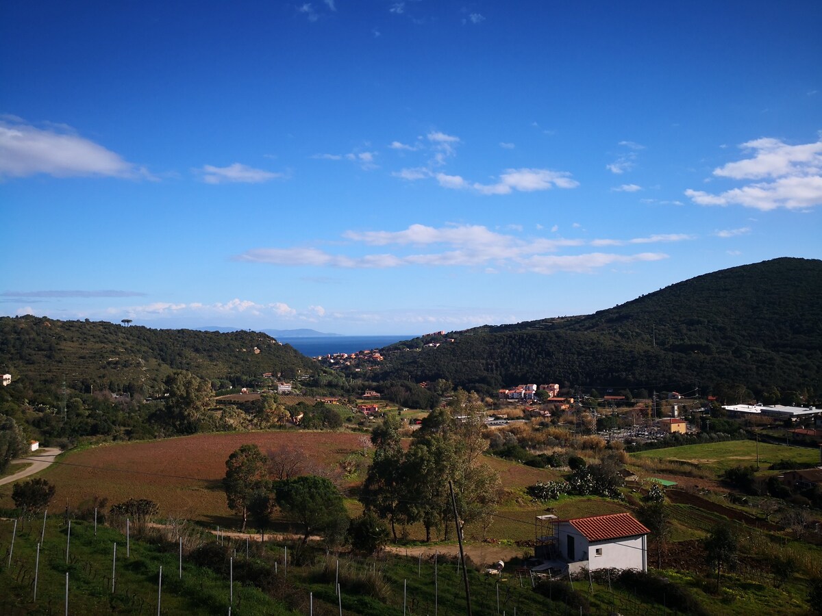 Casa Elicriso ，您在厄尔巴岛的家