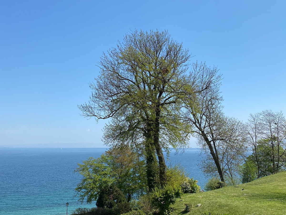 公寓位于村庄中心，可欣赏湖景