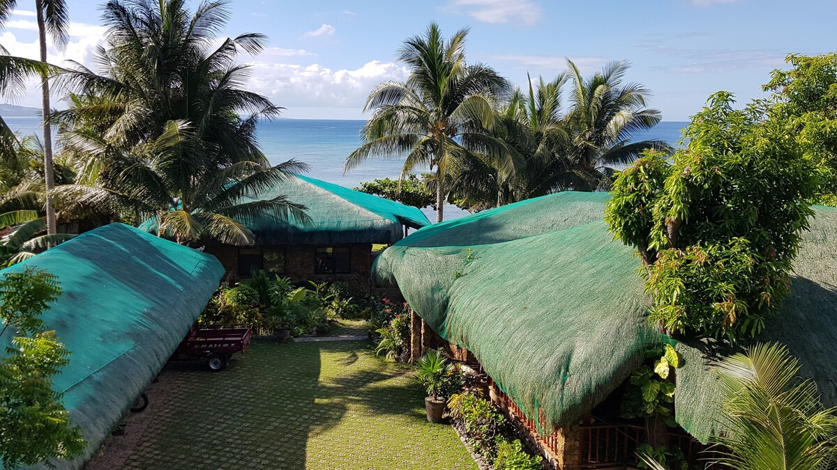 异国情调的朋友小屋，椰子树荫海滩度假村