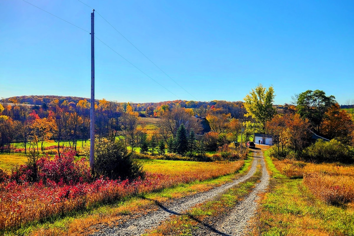 Valley Homestead