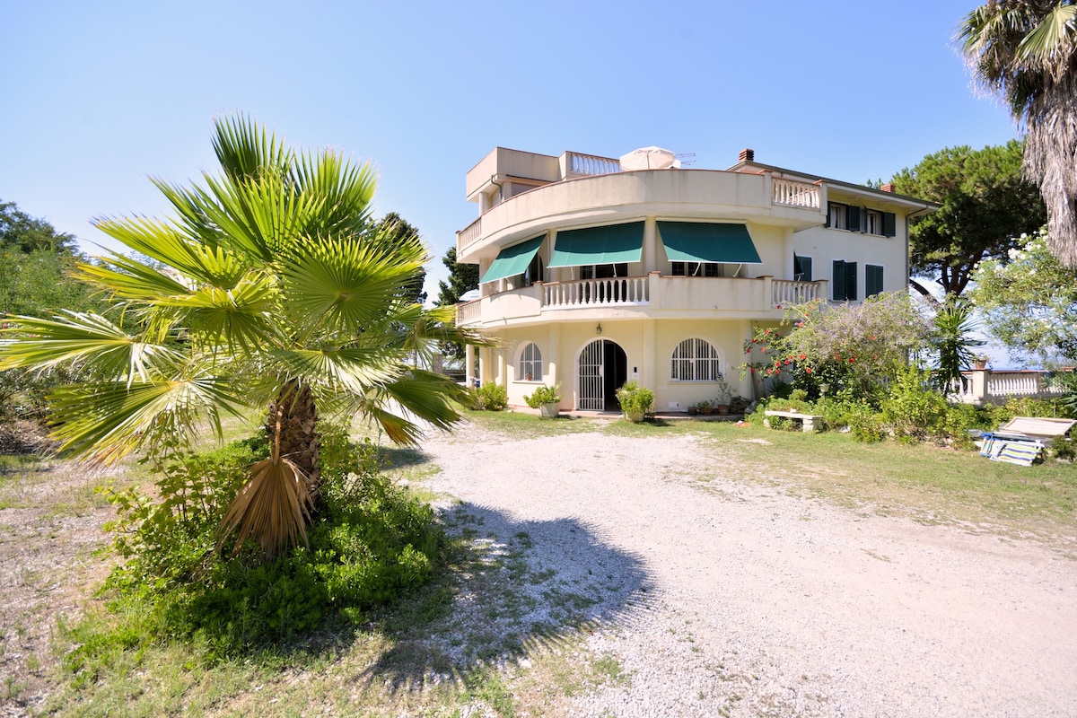 Circular Curly Bay Tropea