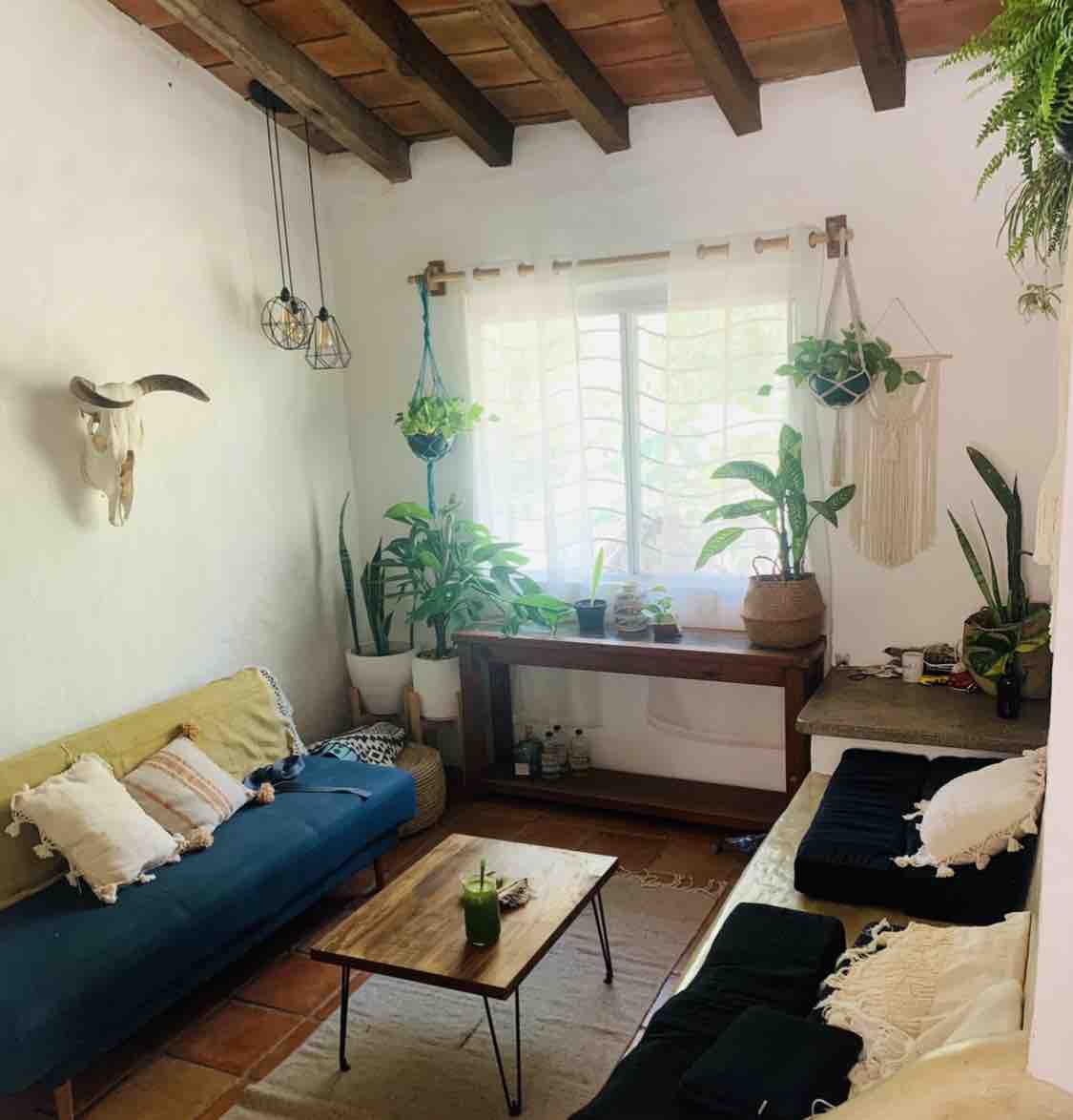 Casa De Leon: Jungle Home