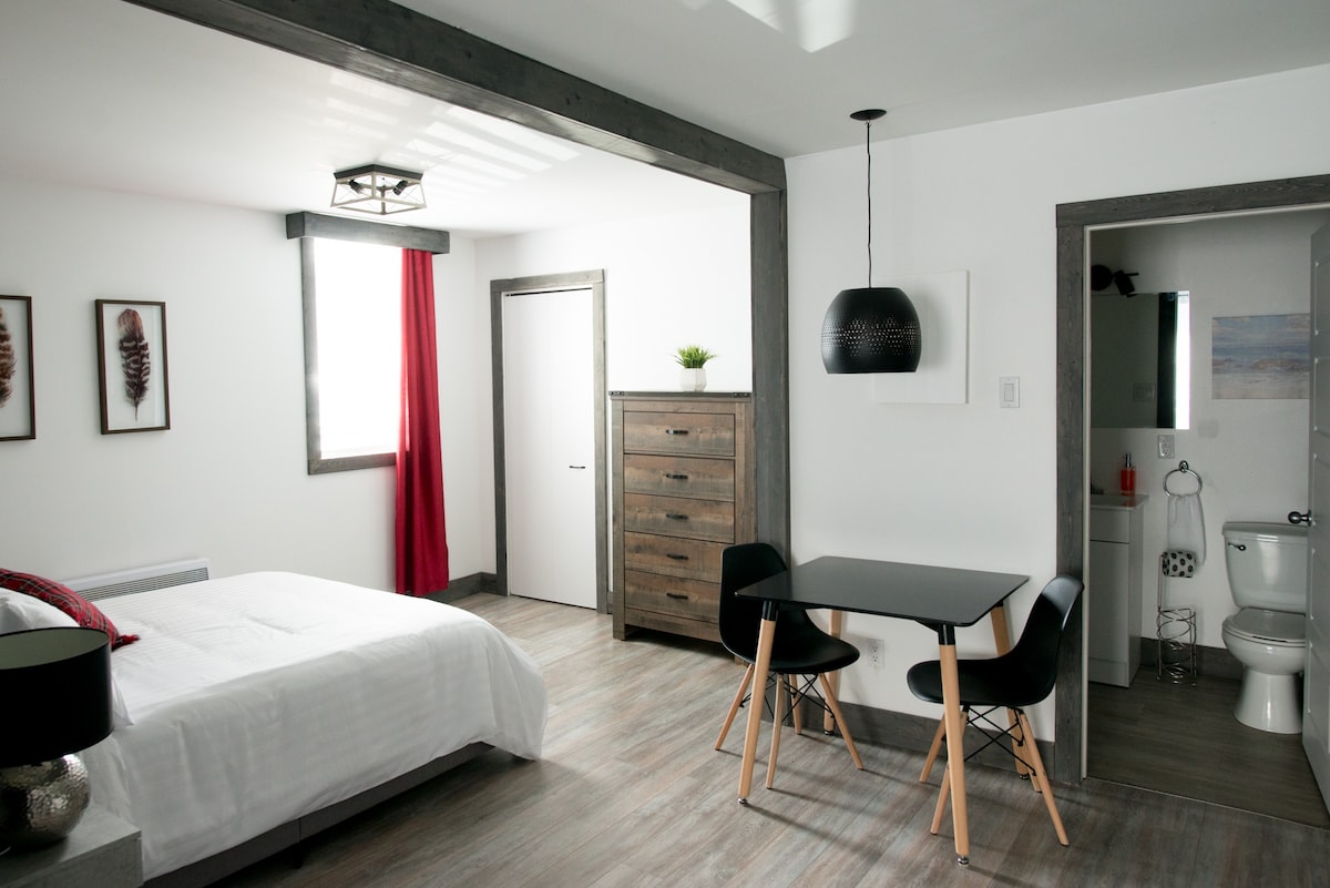 Loft deluxe avec un lit + 1 divan-lit (Court-toit)