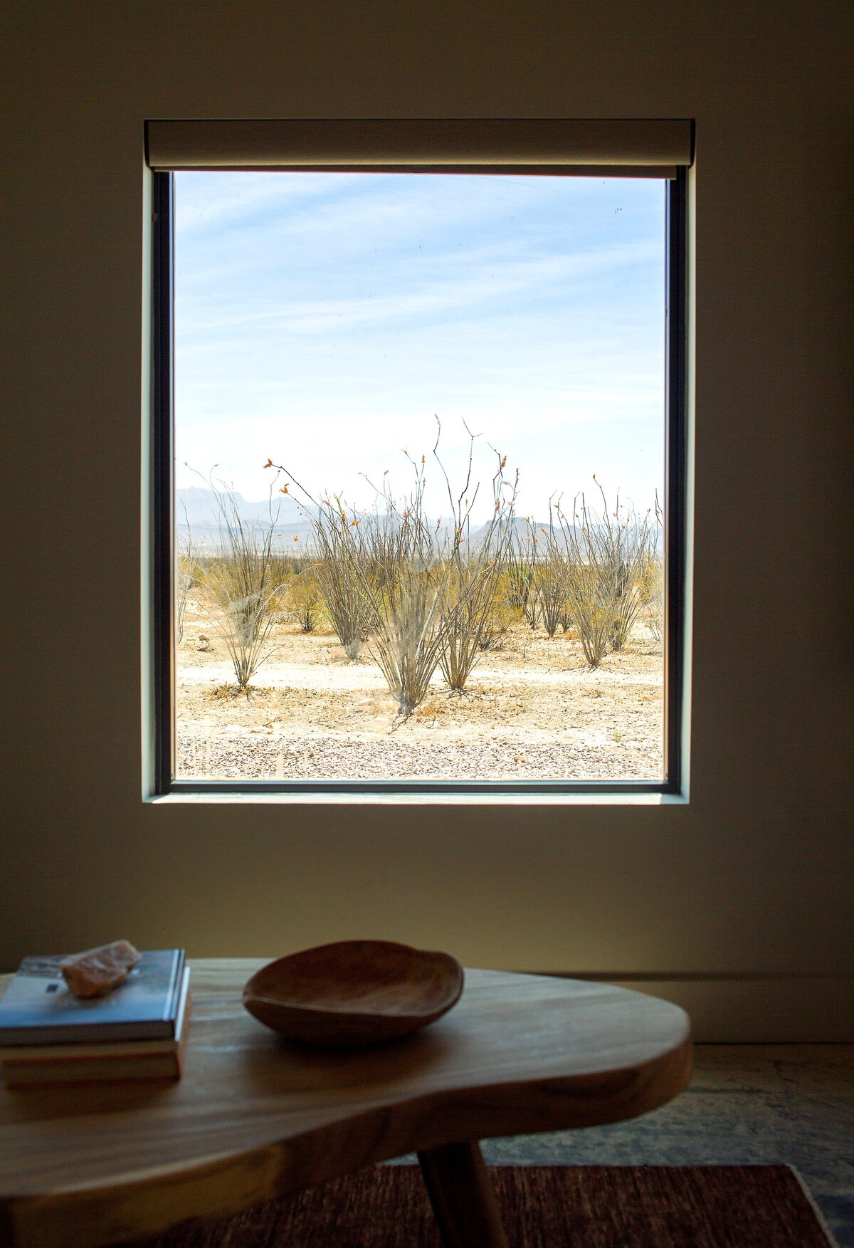 Willow House - No. 2 - Big Bend NP + Terlingua