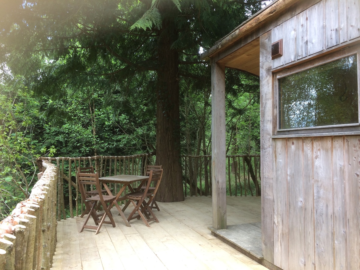 Bothi豪华露营吊舱/小屋at Celtic Woodland