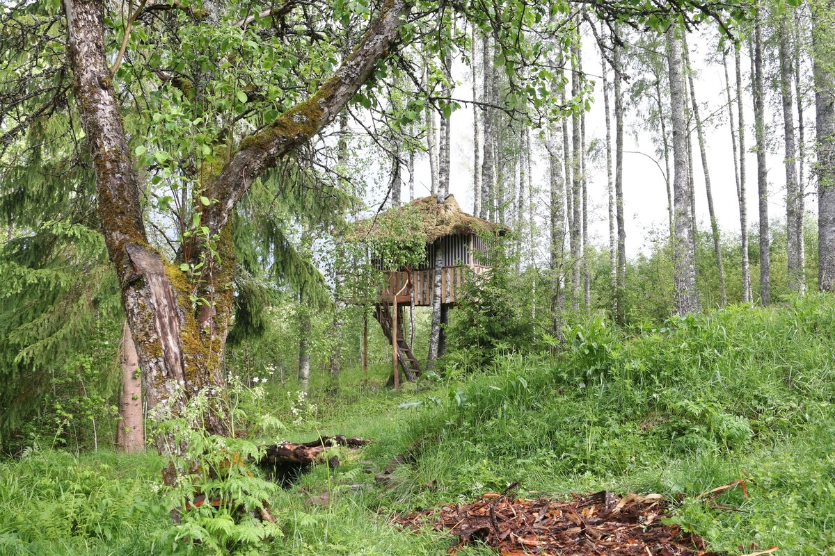 Bluesberry Woods Treehouse