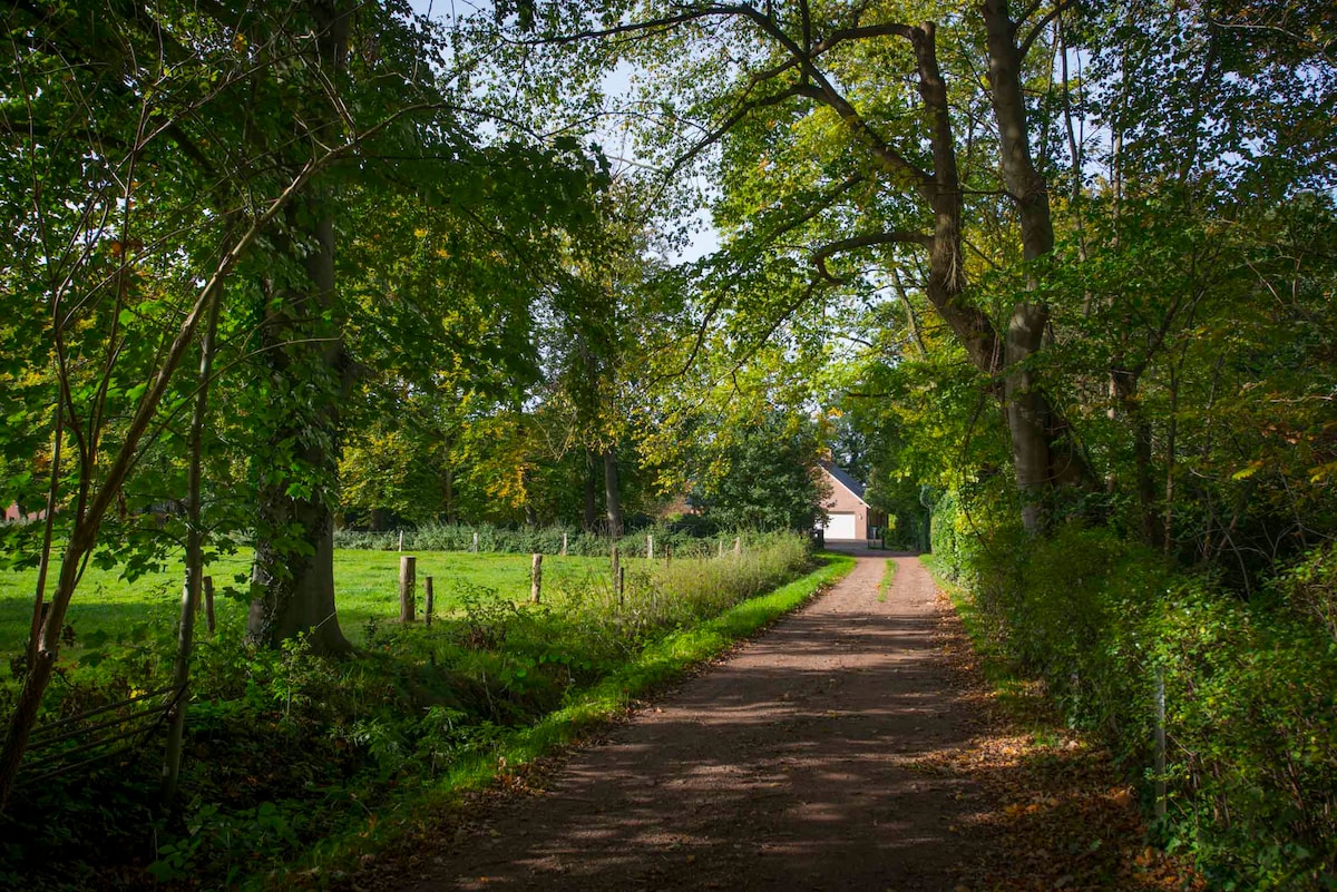 Groeneveld B&B