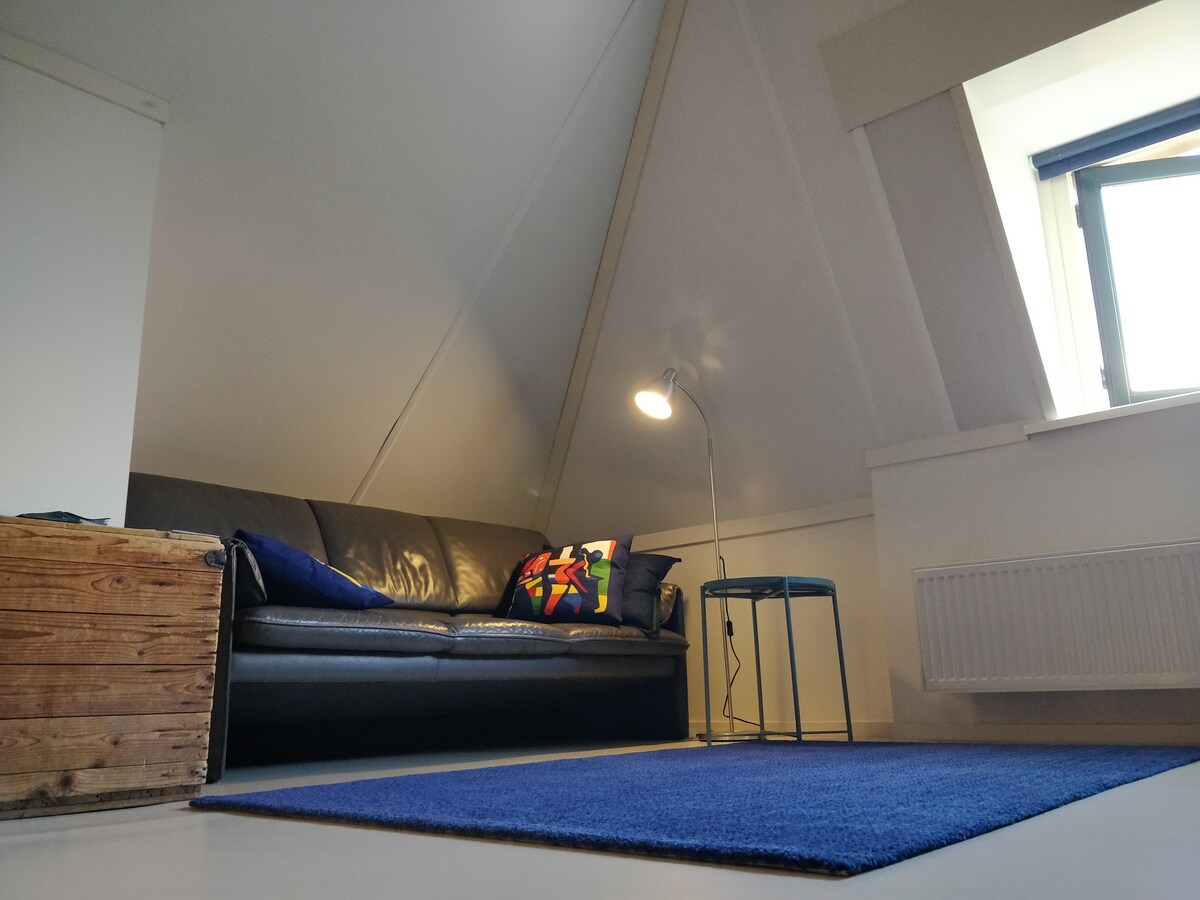 Spacious attic room in mansion on a stylish canal