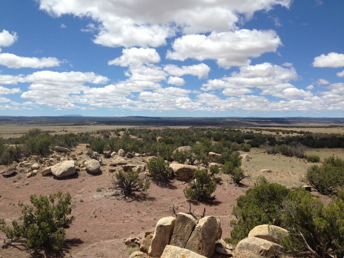 #PriusLife Campsite on Remote Wilderness Arizona