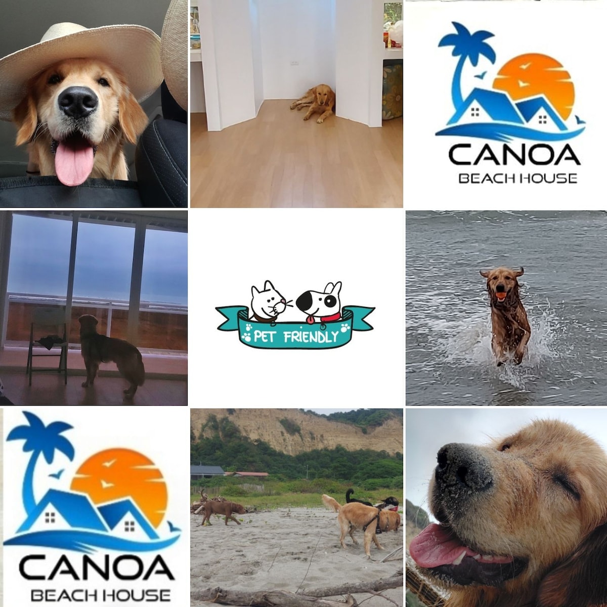 🏖🏡Casa de Playa en Canoa- Manabí

太平洋娱乐区（ Pacific Recreation Sector ） ，很高兴您在100%家具齐全的套房提供舒适愉快的出租服务，并提供所有便利设施。
 
🎯与SDGs一致