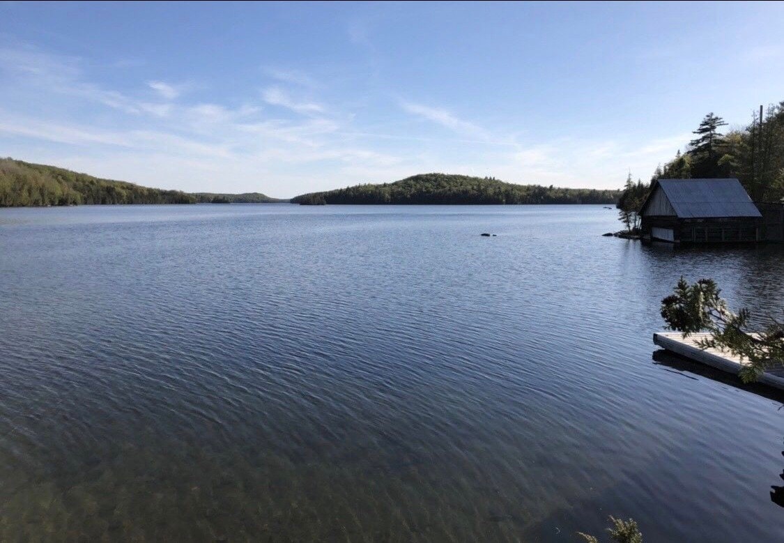 Paradise on Palmerston Lake