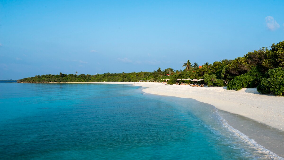 The Barefoot Eco Hotel, Maldives-Seaside Room