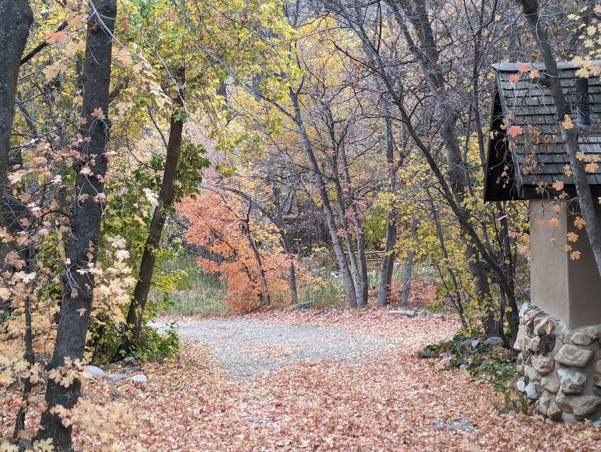 Cabin on Big Cottonwood River