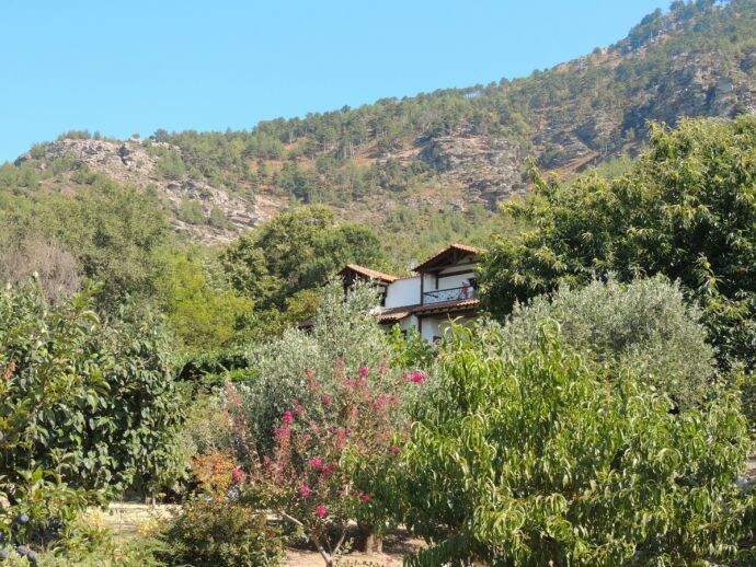 Villa Kazaviti - Studio 2 (up to 2 Persons) Thasos