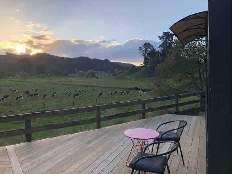 Valley Cabins, White Pine Bush Cabins