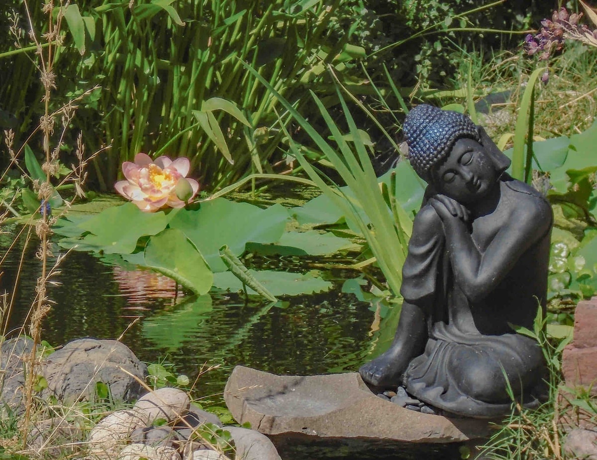 Behr Art # 2 - The Lotus (Nature Retreat)