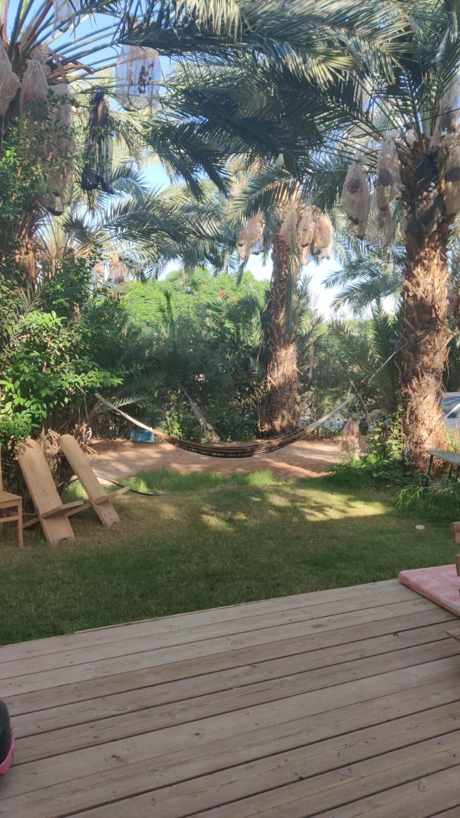 הבית הנעים שלנו בלב מטע תמרים 🌴🐫