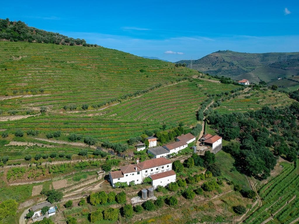 HOUSE in Organic Winery - Qta do Vilar Douro Valley