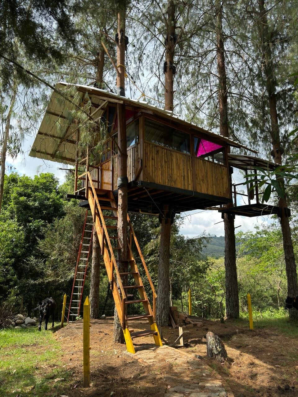 Glamping Casa del árbol