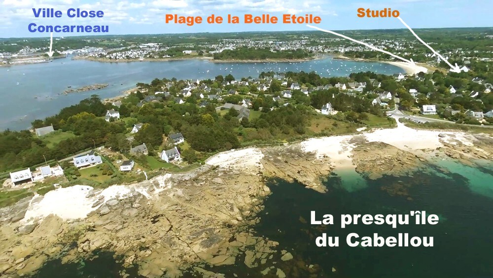 Le Cabellou plage
海景单间公寓