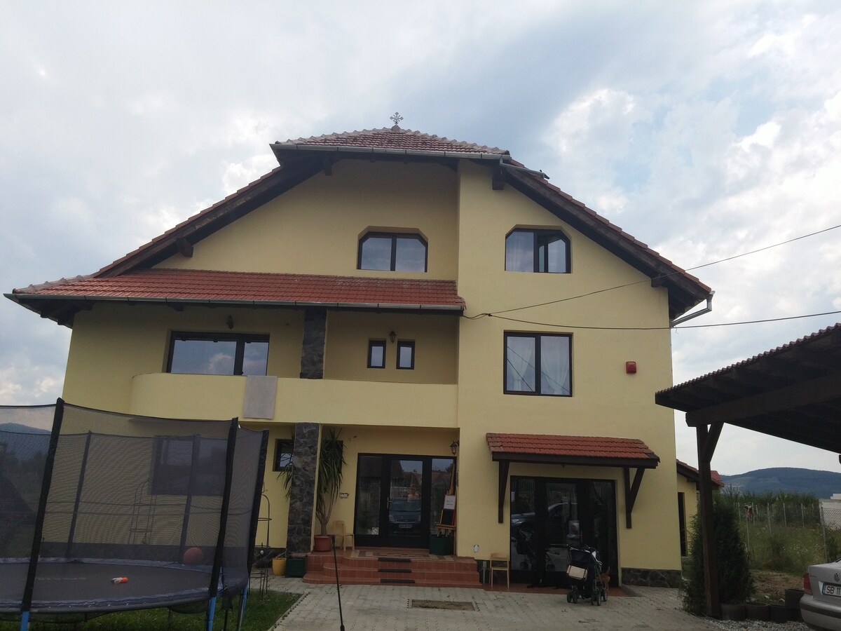 锡比乌（ Sibiu ）附近完美的乡村住宅！
