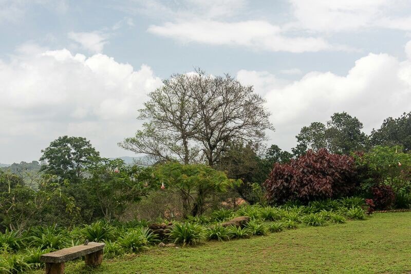 Magnolia种植园小屋-咖啡种植园。