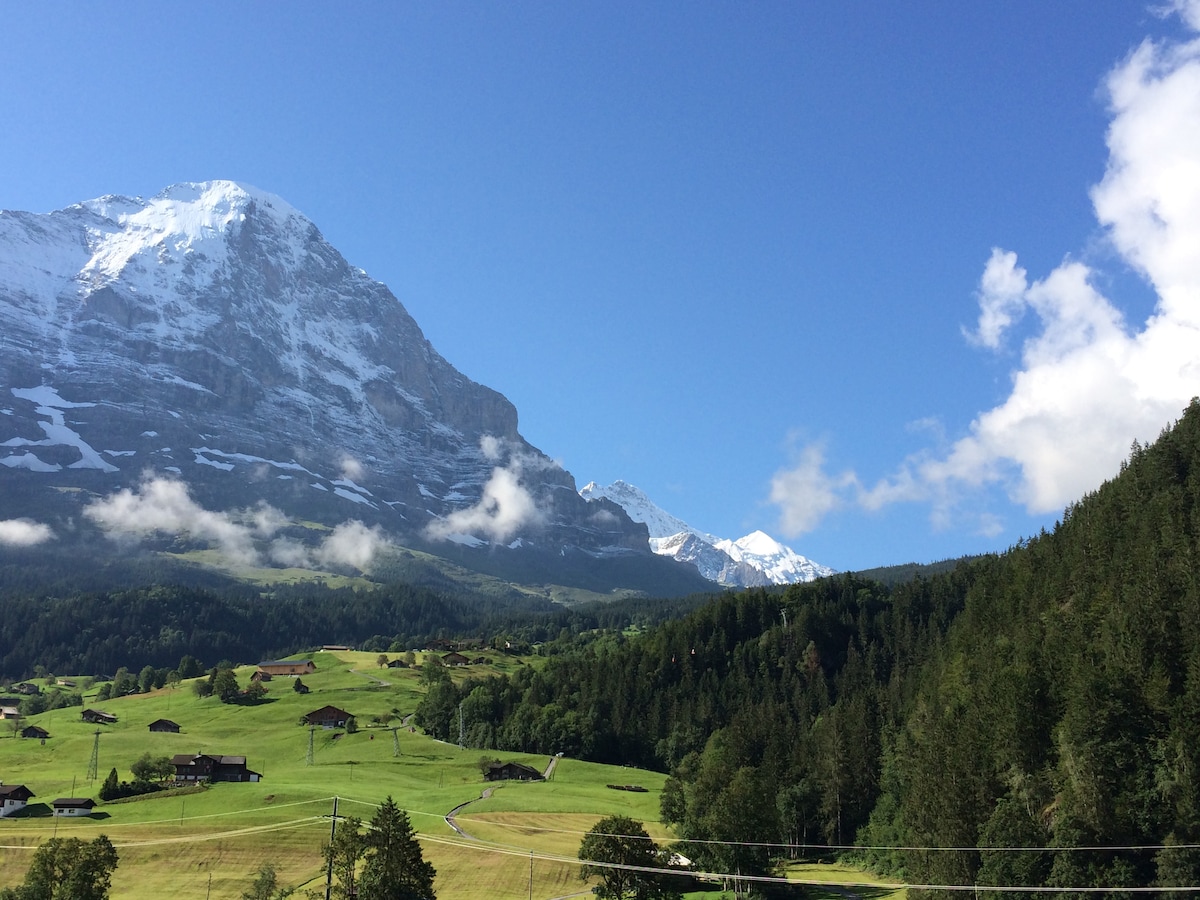 Grindelwald Top/Europe, Eiger Views