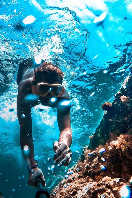 snorkel with turtles-free videos