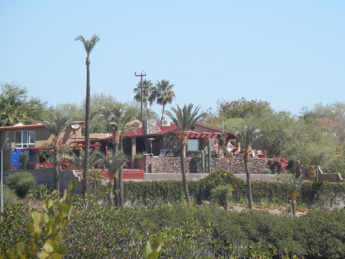 The Nest in Mulege