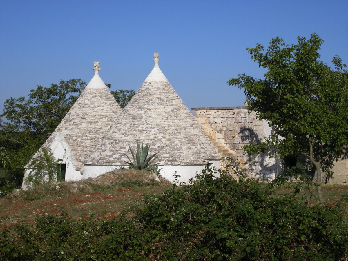 Authentic trullo in the heart of Itria Valley