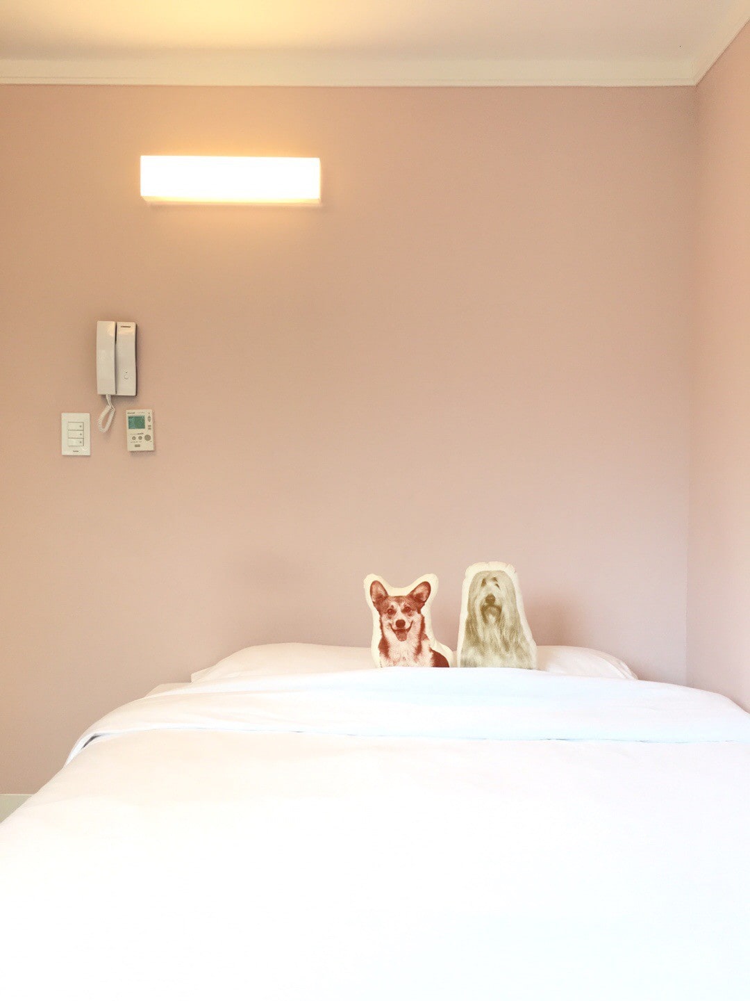 私人舒适单间公寓- 1张标准双人床（ P ）