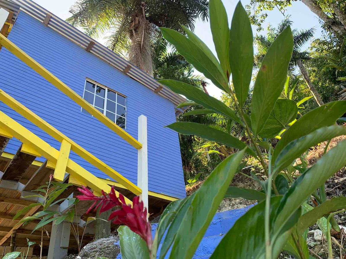 Tropical Cabin in the lush hills of Jamaica