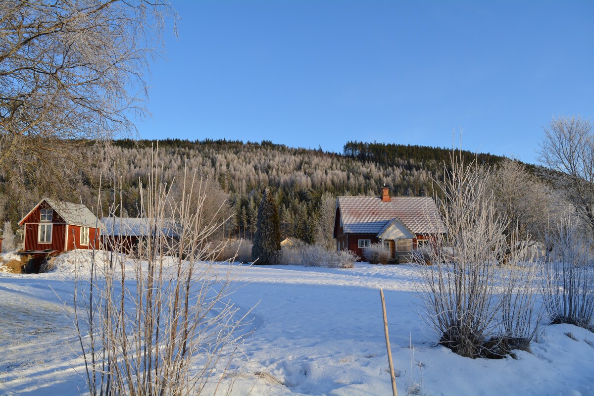 Holiday Home "Sälje"  ( Our Little Farm )