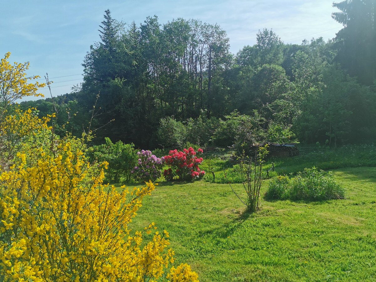 Gérardmer附近的Chalet l 'écureuil Massif Vosges🌲