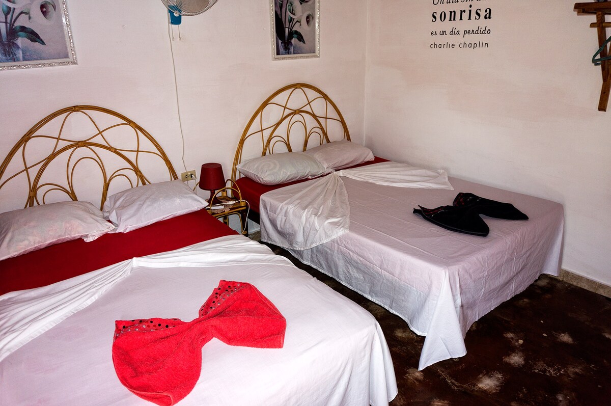 Casa colonial "Dany y Carlos" room 1