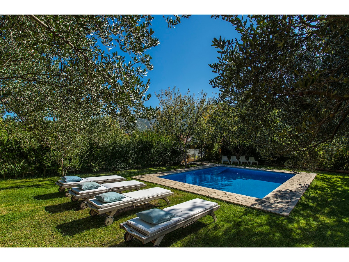 Villa Radic with heated pool united with nature