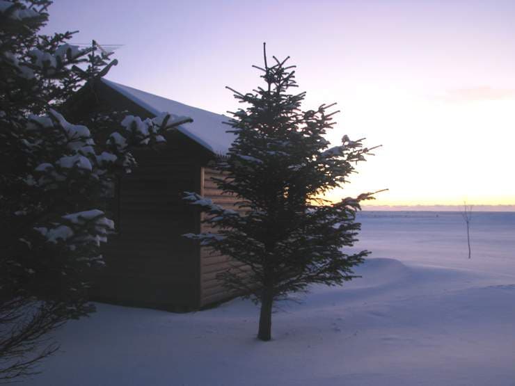 Tiny-House Cabin #2 - with Horses, Sheep & Volcano