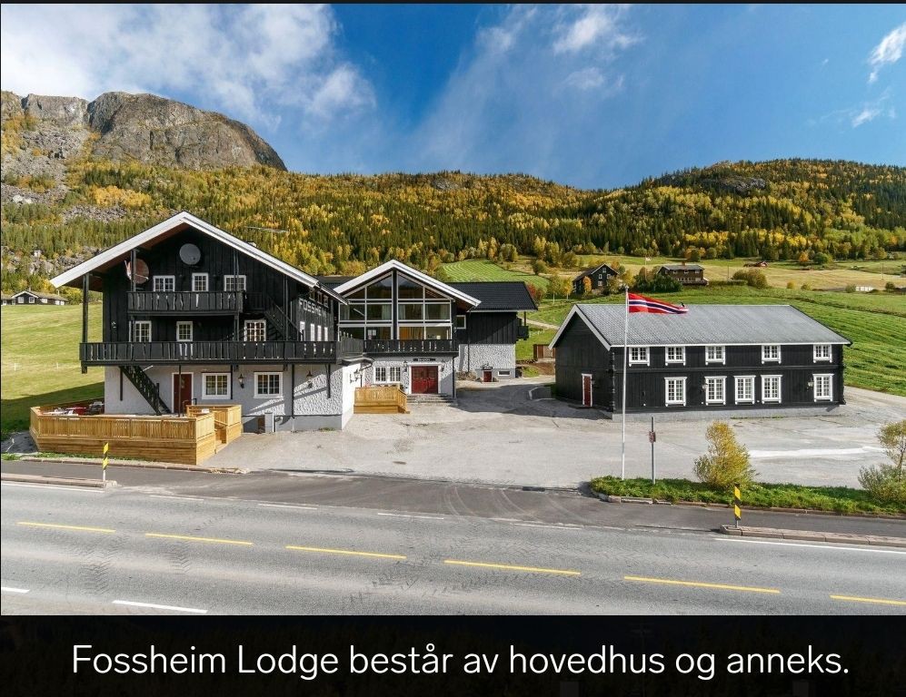 Hemsedal -  Ulsåk - Fossheim Lodge - Leil 27
