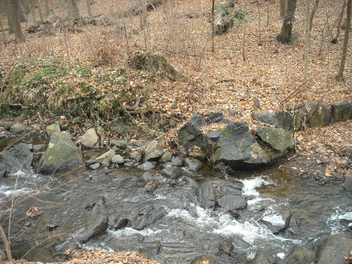 The Babbling Brook