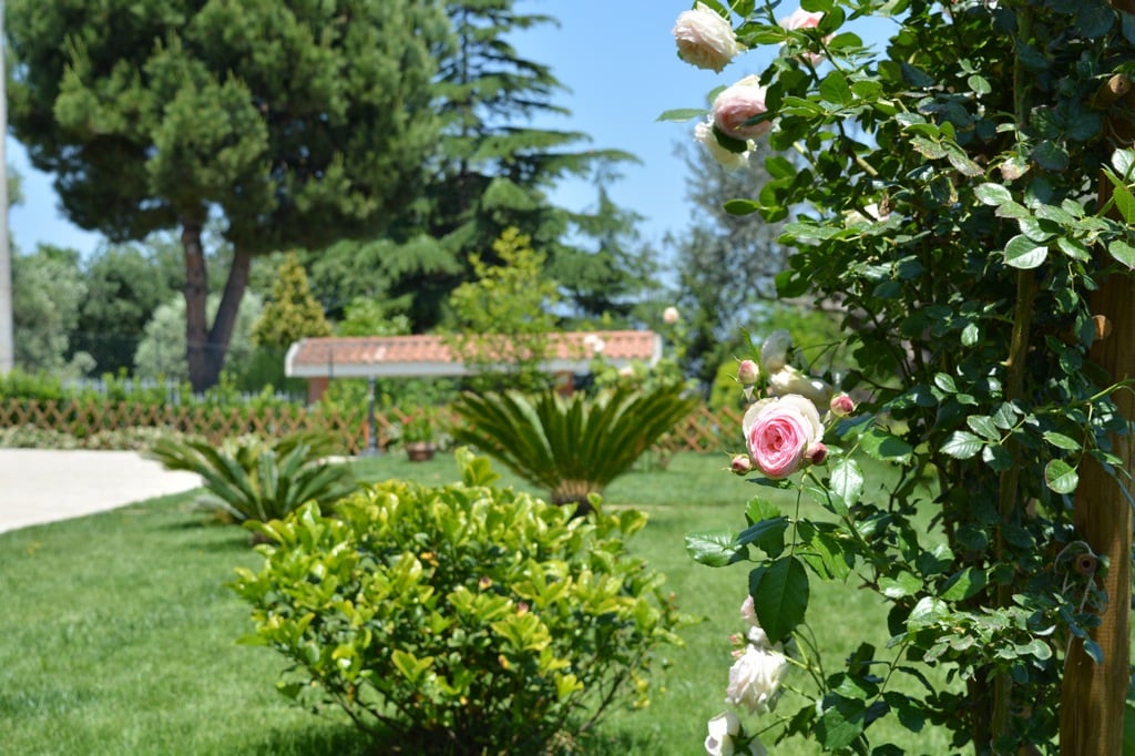 Elegante monolocale con vista mare e giardino