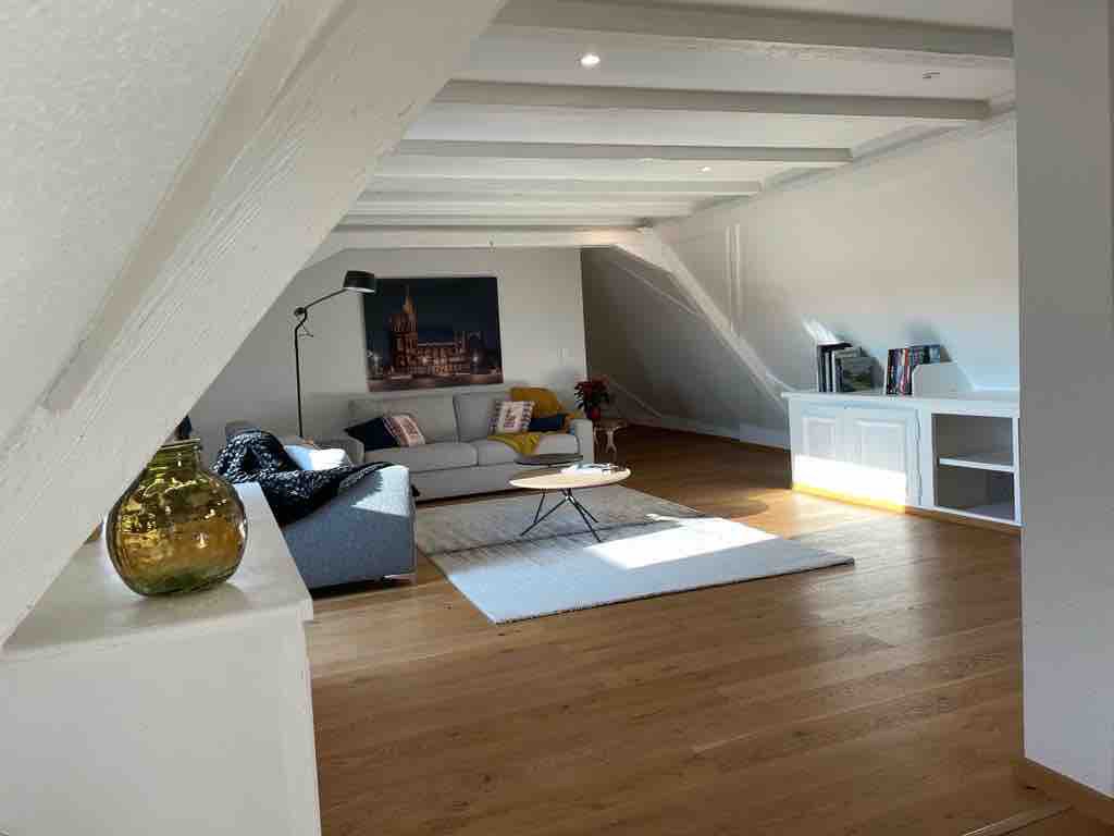 Appartement authentique proche de Strasbourg 15min