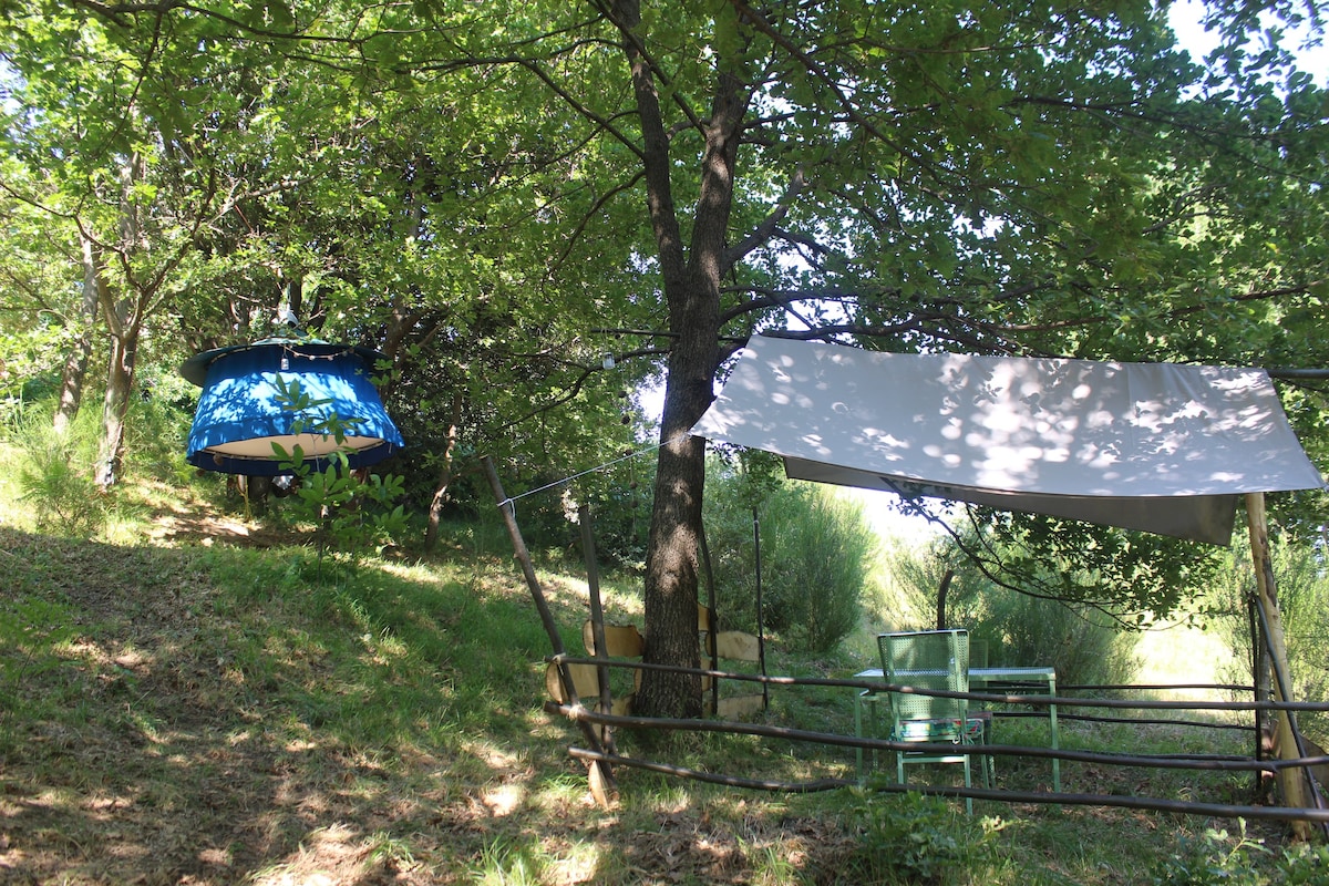 树上的小木屋和野生动物园帐篷。