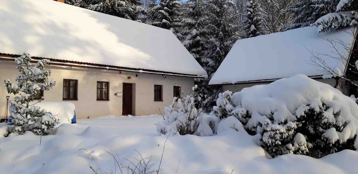 Sněžka附近迷人的自然别墅