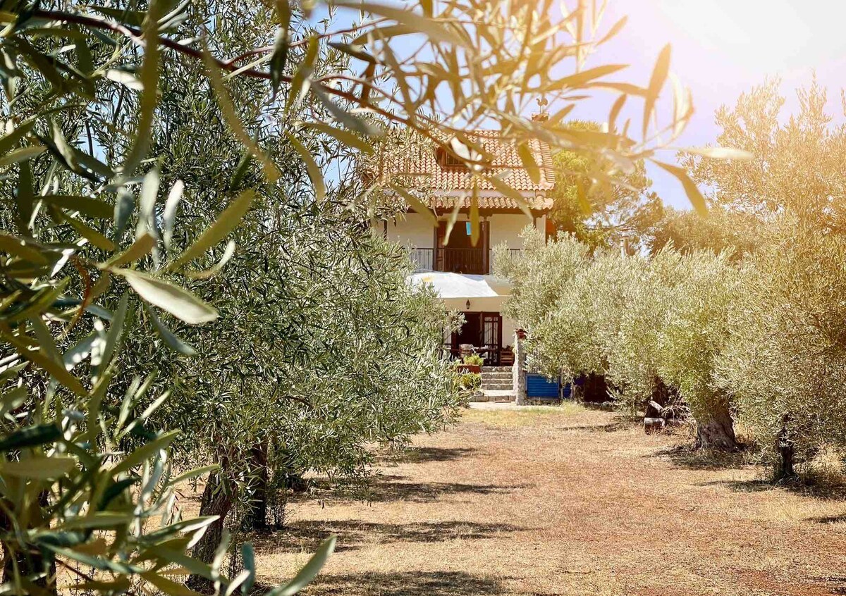 Olive Grove Cottage