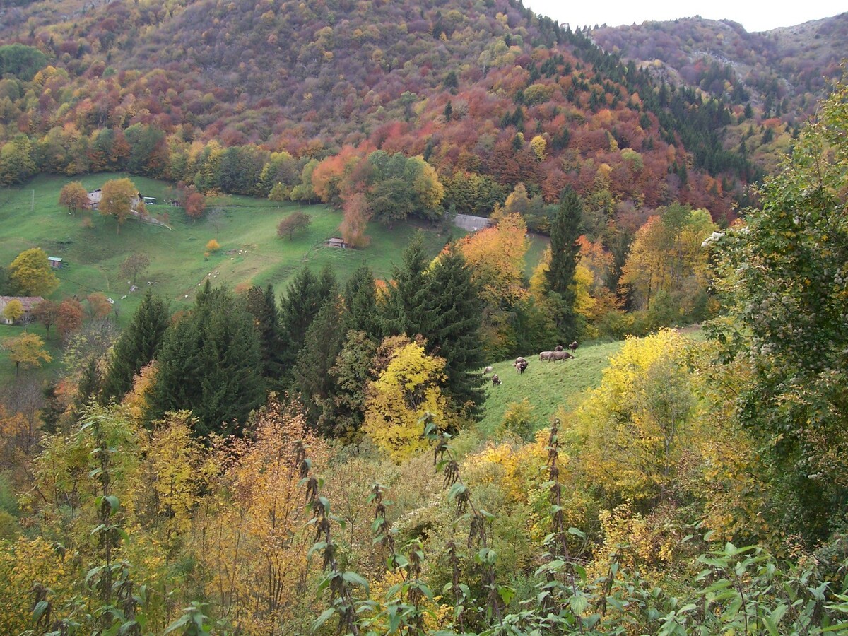 La Casina nel Valle