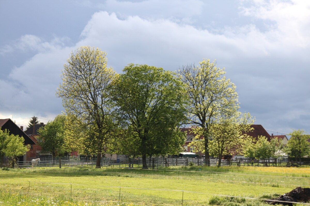 Ferme Bleue in Schleithal/Elsass